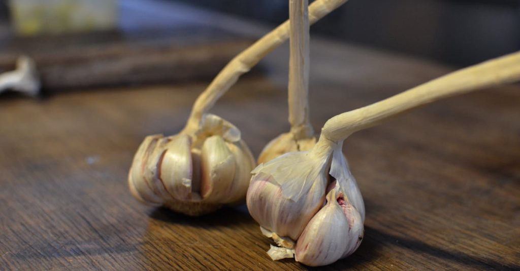 découvrez les nombreuses vertus du clou de girofle, une épice aux arômes puissants. apprenez comment l'intégrer dans vos recettes, ses bienfaits pour la santé et son utilisation en médecine traditionnelle. plongez dans l'univers fascinant du clou de girofle et enrichissez votre cuisine !