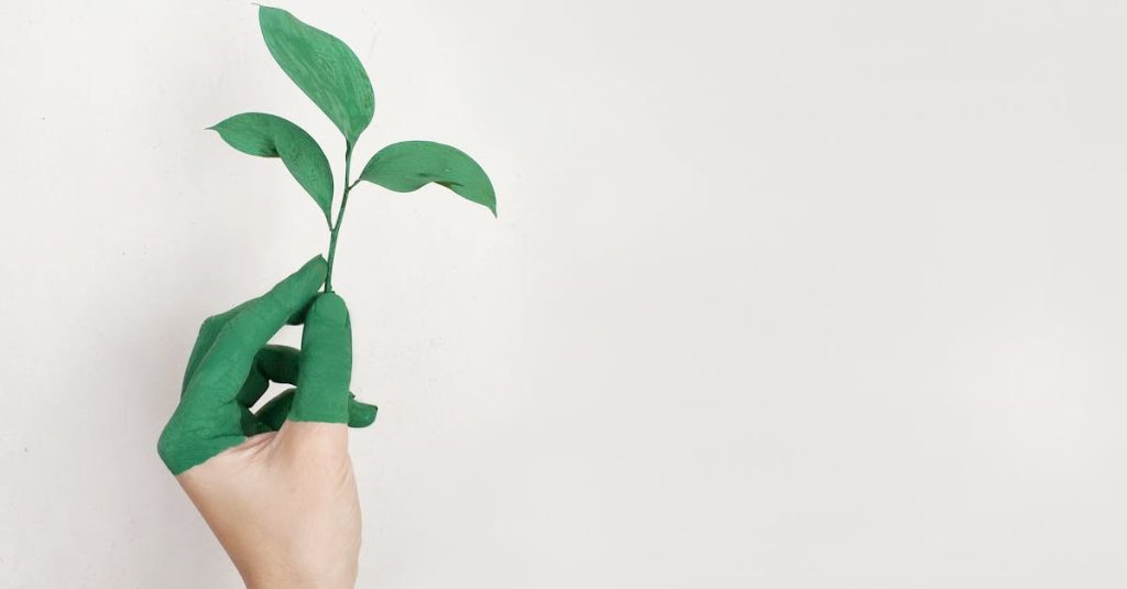 découvrez les secrets de la régénération de la peau pour une apparence plus jeune et éclatante. explorez les techniques, traitements et conseils pour revitaliser votre épiderme et favoriser la guérison naturelle.